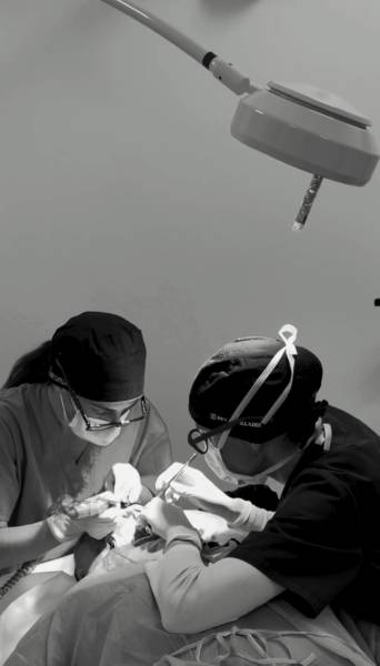 À quel moment la Mésogreffe devient-elle pertinente dans un parcours capillaire ?